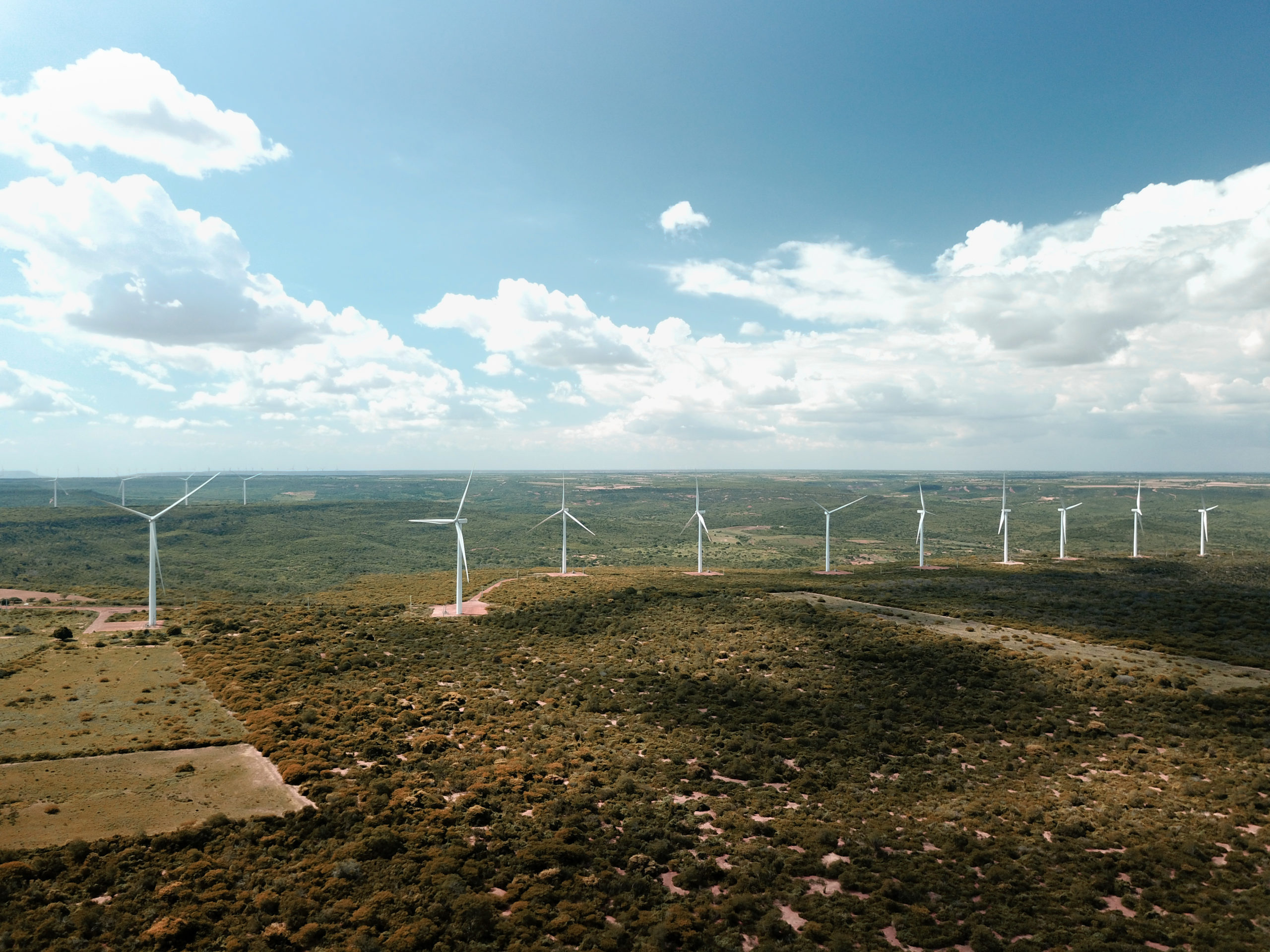 Os “donos” dos ventos: como a instalação de parques eólicos no sertão  nordestino impacta comunidades tradicionais