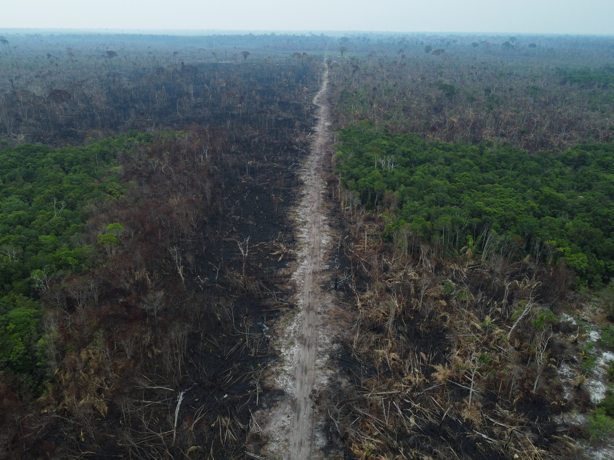 Vista aérea de uma área desmatada e queimada às margens da Transamazônica (AM), em 22 de setembro de 2022. (Foto de MICHAEL DANTAS / AFP)